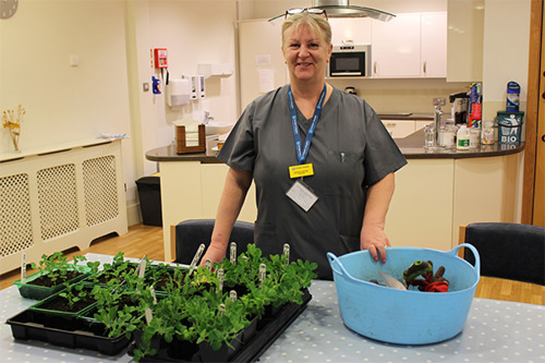 Shirley, volunteer florist