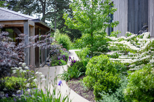 Hospice garden