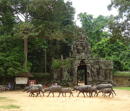 Cambodia