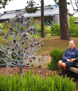 Hospice garden memories